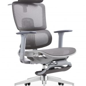 Ghế công thái học Ergonomic LM-180A-QW-R-1