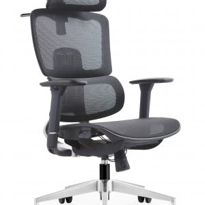 Ghế công thái học Ergonomic LM-180A-QW