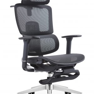 Ghế công thái học Ergonomic LM-180A-QW-R