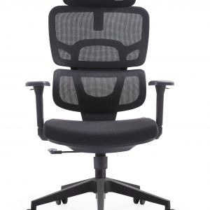Ghế công thái học Ergonomic LM-170A