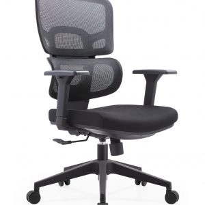 Ghế công thái học Ergonomic LM-170B
