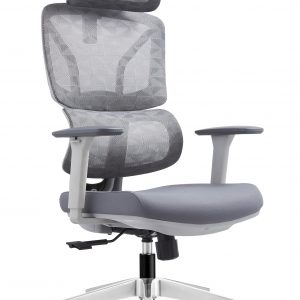 Ghế công thái học Ergonomic LM-181A-1